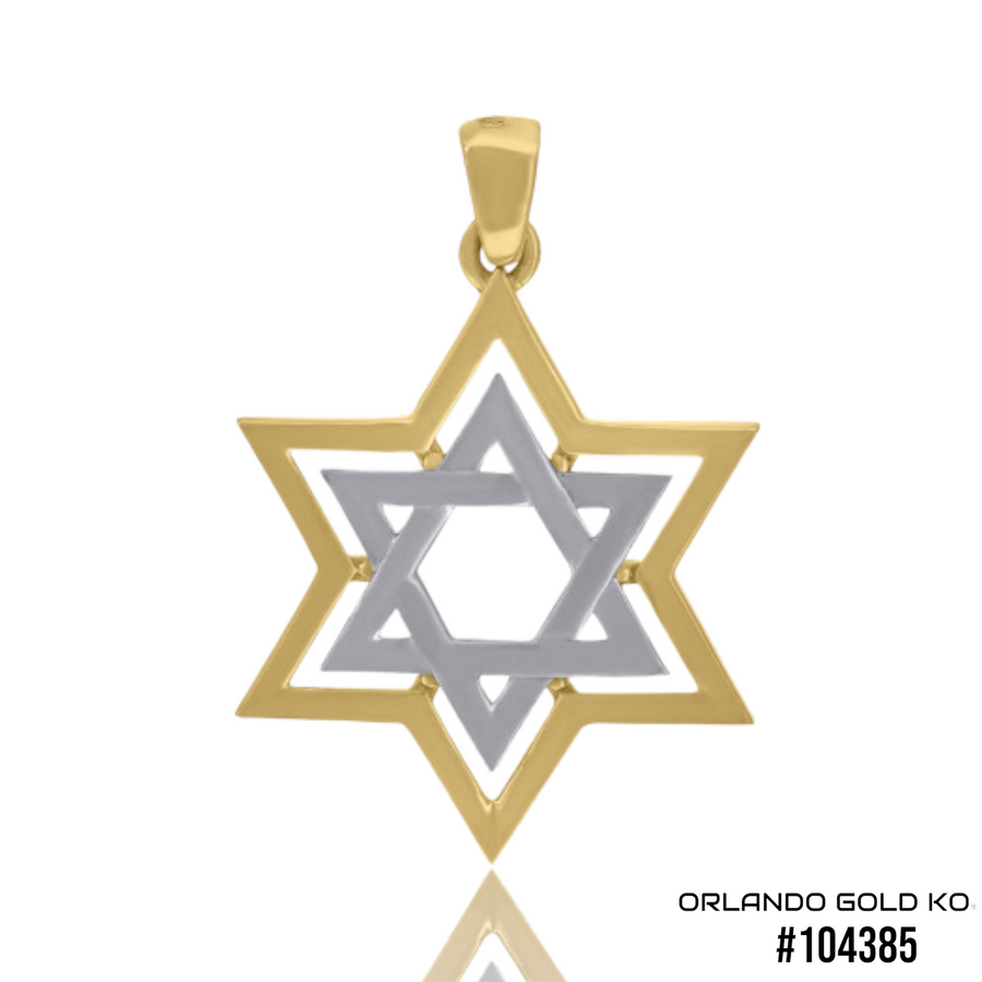 14Kt Two-Tone Gold Unisex Star of David Charm Pendant #104385