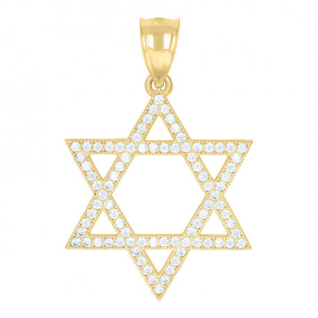 10kt Two-Tone Gold Mens Cubic Zirconia Star Of David Religious Charm Pendant