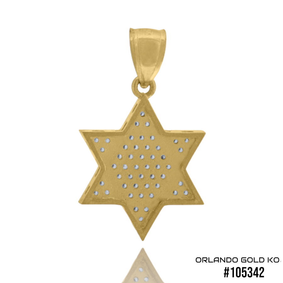 10kt Two-Tone Gold Iced Out Star Of David Religious CZ Stone Pendant #105342