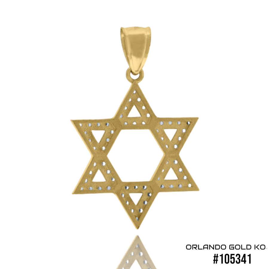 10kt Two-Tone Gold Cubic Zirconia Star Of David Religious Charm Pendant #105341